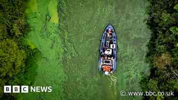 Lough Neagh: Why is the UK's largest lake turning toxic green?