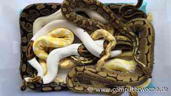 10 Python-Distributionen im Überblick