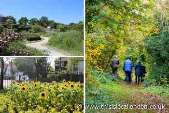 Three Lewisham parks win gold at London in Bloom 2023 T