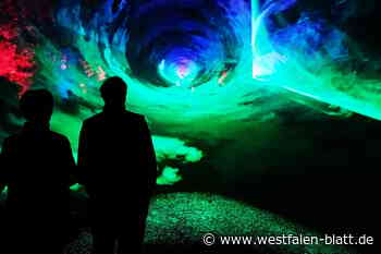 „Höxter leuchtet“: Landesgartenschau erreicht neue Dimension