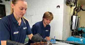 Turtle travels nearly 2,000 miles to be released into the wild