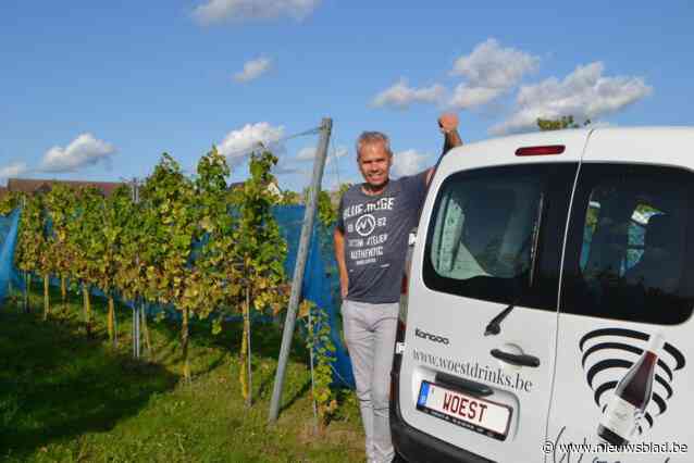 “Er is tegenwoordig veel wijn in België, misschien zelfs té veel”: hobbywijnbouwer Tim (50) gaat voor het eerst biologisch