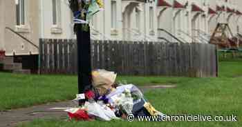 Dozens of floral tributes left in Shiney Row at scene of 'XL Bully' dog attack