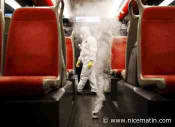 Elles commencent à envahir les écoles de Paris: y a-t-il des punaises de lit dans les établissements des Alpes-Maritimes et du Var?