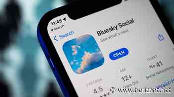 Twitter-Erbe: Mehrere Ministerien eröffnen Konten bei X-Konkurrent Bluesky