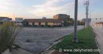 Plant trees and shrubs, or be cited, Arlington Heights tells business owner