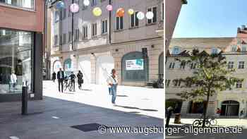Nach Sturmschaden: Baum in Augsburger Fußgängerzone wird nachgepflanzt