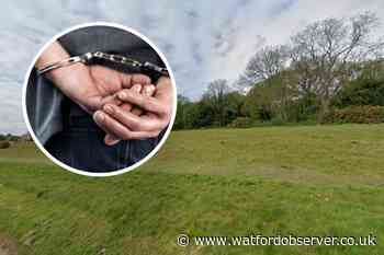 Teen charged after 13-year-olds 'robbed' on Chorleywood Common