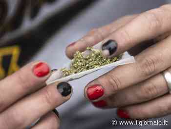 Il Tar sospende il divieto di cannabis light. Il mistero della Salute sarà parte civile