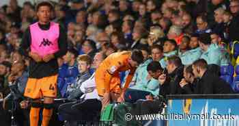 Millwall game arrives at a pivotal point in Hull City's Championship challenge