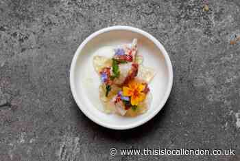 INÉ Hampstead, Japanese restaurant from Taku Mayfair team