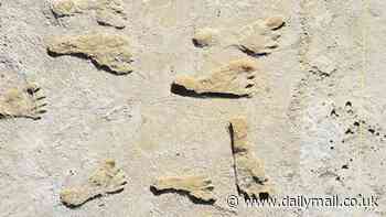 New tests confirm ancient human footprints in New Mexico are thousands of years older than previously thought