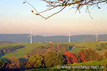 Nationalpark Eggegebirge: Wie es nach dem Votum in Warburg weitergeht