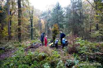 In Zeiten des Klimawandels: Stadtförster-Stelle seit 14 Monaten vakant