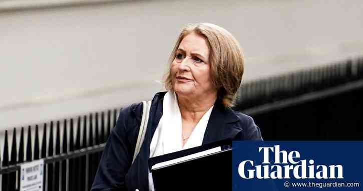 Children in UK will be living in long shadow of Covid for next two decades, inquiry told