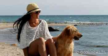 Parents of murdered vet technician renew calls for capture of alleged killer