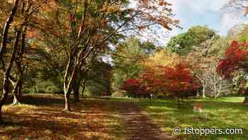 Some of the Best Landscape Photography Lenses You Can Buy