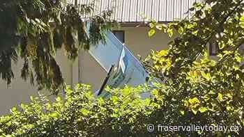 Small plane crashes near Chilliwack airport