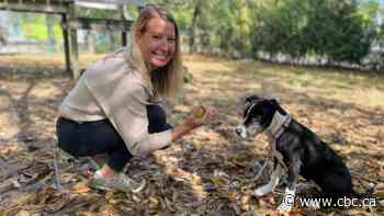 Toronto Humane Society appeals for funds as it helps pet owners under financial strain