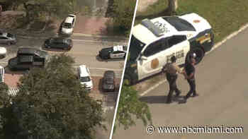 Video shows high-speed chase that ended in crash, foot pursuit, suspect in custody in Miami-Dade