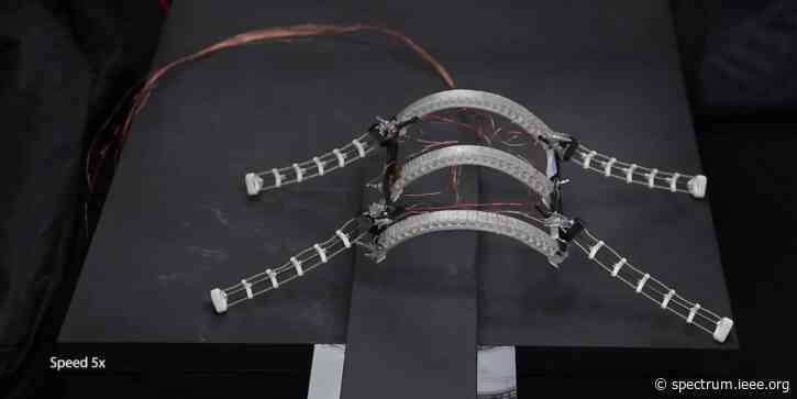 Video Friday: Morphing Adaptive Robots