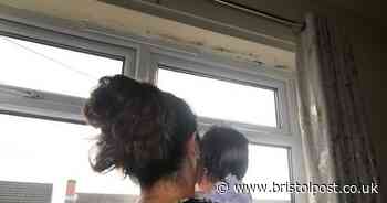 'It just got worse and worse' Mum can't cook for her children due to mould and damp covering home