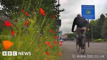 Birmingham CAZ: Pollution levels drop as cars increase