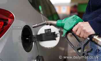 Fury over 'too-high' fuel prices: Petrol stations come under fire for ripping off drivers despite a slump in oil prices