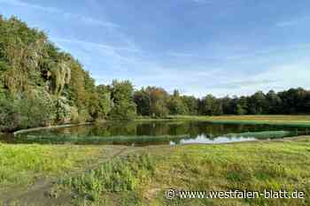 Warum die Barrelpäule für Gänse unattraktiv werden soll