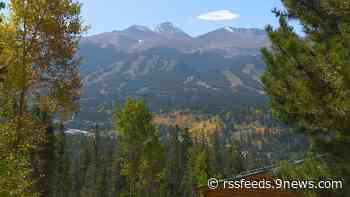 175 employees laid off from Denver vacation rental company