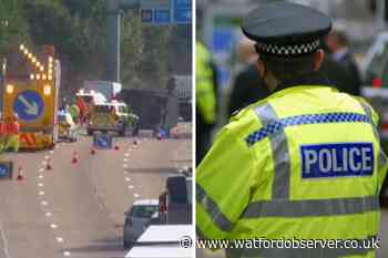 M25 crash between junctions 23 and 25 leaves two horses dead