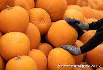 Where to go pumpkin picking in Wirral this October