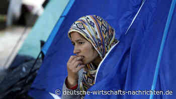 Weik: Die große Migration hat noch gar nicht begonnen