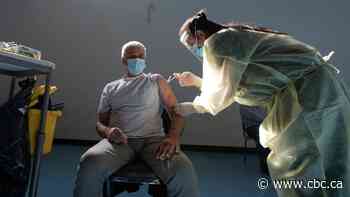 How seniors can access 4 key vaccines this fall — for COVID, flu, pneumonia, and RSV