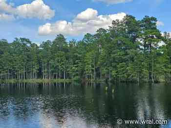 Best hiking trails in Fayetteville