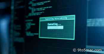 iOS and Android security is driving up the price for zero-day WhatsApp exploits