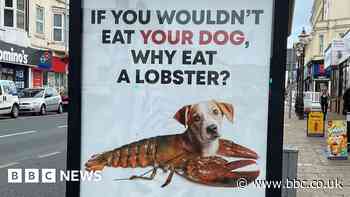 Charity criticised over Bridlington posters comparing dogs and lobsters