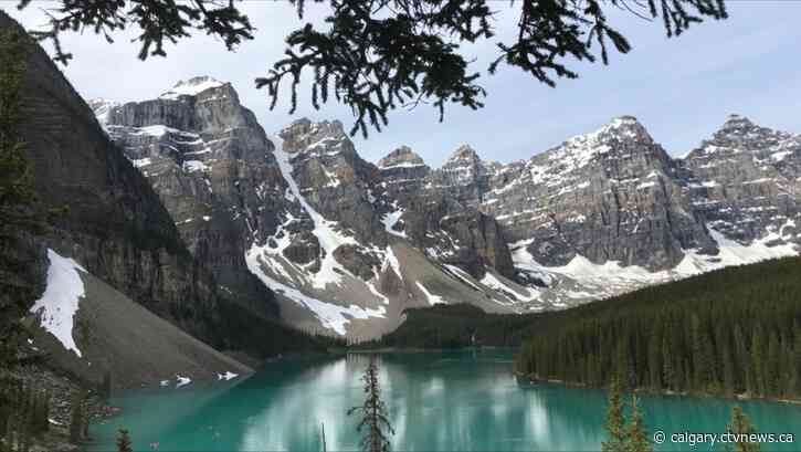Final weekend for fall colours at Banff, as park announces area closure east of Fenlands Rec Centre
