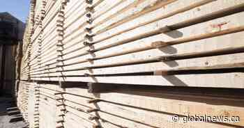 Feds, N.B. applaud decision on U.S. softwood lumber duties