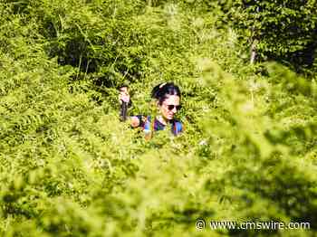 The Wrong Way to Do CX Automation