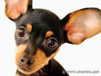 Social Listening: Key to Understanding Customer Needs and Preferences