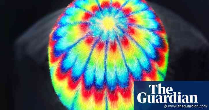 What a trip! Psychedelic hair designs inspired by Grateful Dead gigs – in pictures