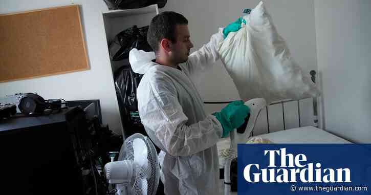 People in France: have you been affected by bedbugs?