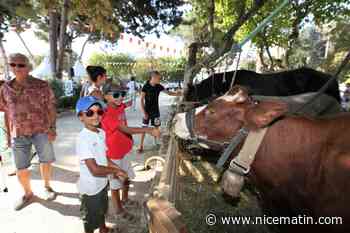 La fête du terroir est de retour à Saint-Laurent-du-Var dimanche