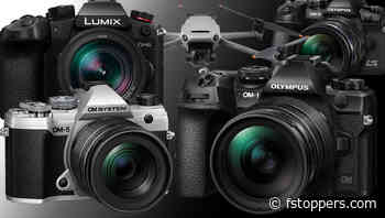 Why Full Frame Didn't Suit Me and Why I Won't Leave Micro Four Thirds