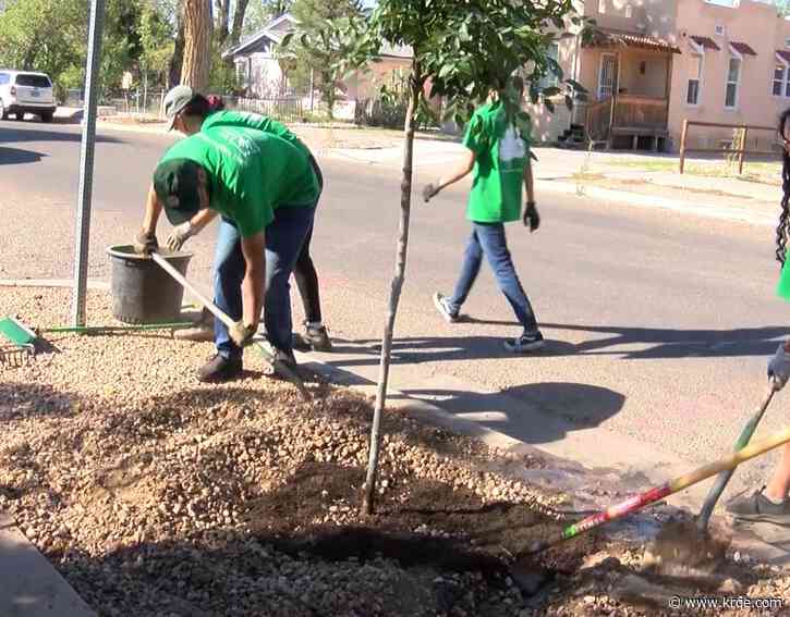 Tree New Mexico plants 100 trees in the metro