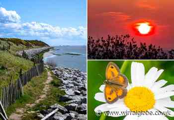 Behind the Lens: ‘Photography has been my passion since I was a child’