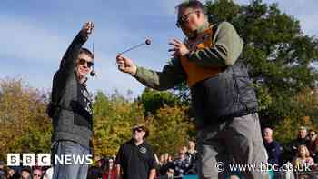 World Conker Championships: What makes for an all-conquering horse chestnut?