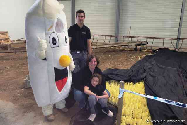 Wim (45) en Els (34) geven aftrap van smakelijk grondwitloofseizoen: “Maar achter de schermen is er heel wat hard labeur om het witte goud op je bord te krijgen”