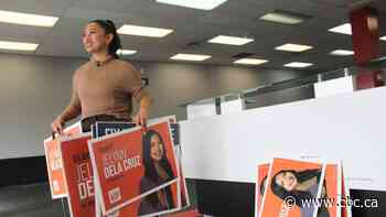 Newly elected NDP MLAs hope their diverse backgrounds will bring new perspectives to the legislature